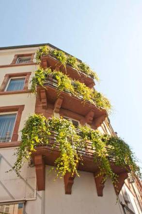 Hôtel le Grillon, Strasbourg